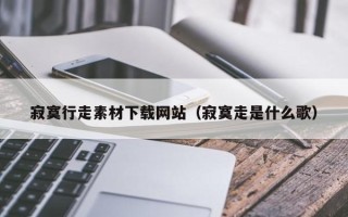 如皋寂寞行走素材下载网站（寂寞走是什么歌）